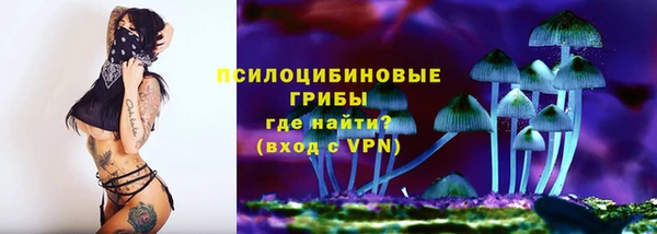 прущие крисы Мегион