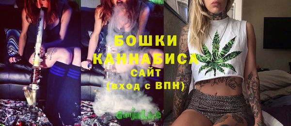 прущие крисы Мегион