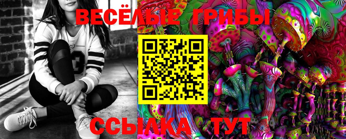 Галлюциногенные грибы GOLDEN TEACHER  Вход с VPN  Псков  Галлюциногенные грибы GOLDEN TEACHER 